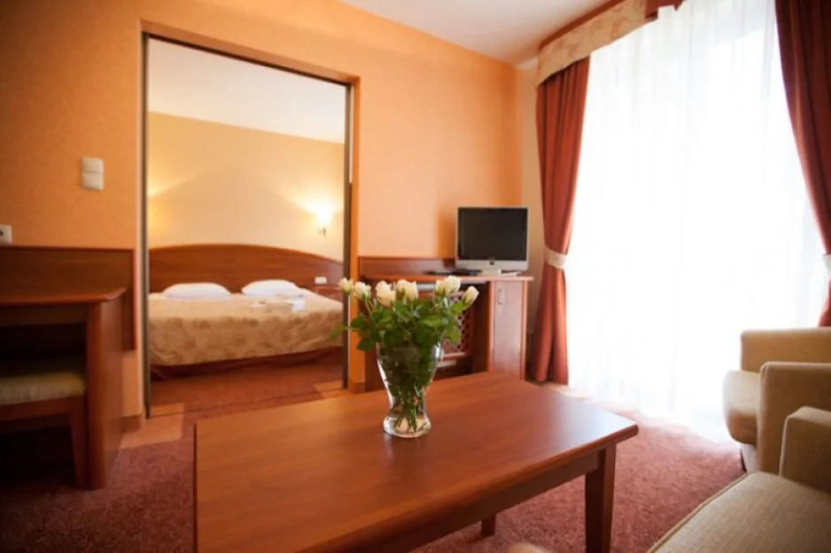 Salon w apartamencie