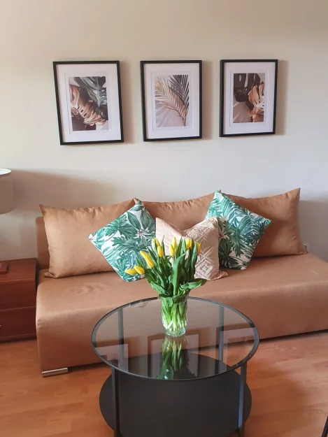 Zdjęcie Apartamenty Zdrojowa #9