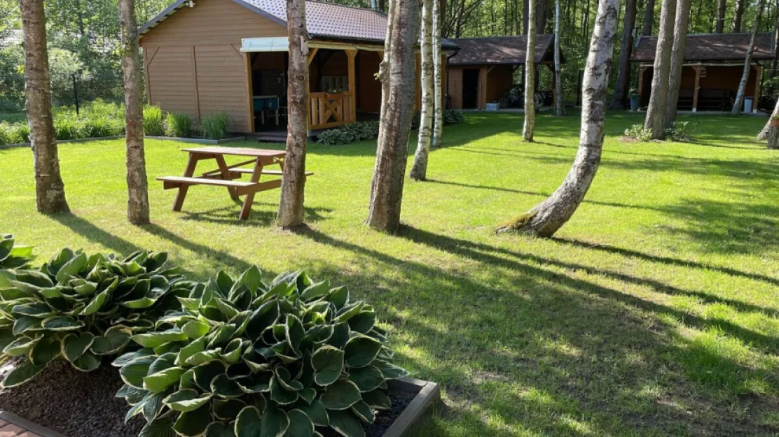 Zdjęcie Domki Octopus #24