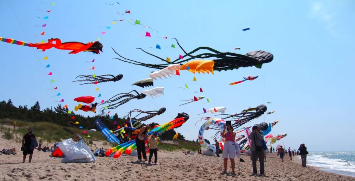 Zdjęcie Amber House domki 50 m od plaży #70