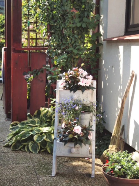 Zdjęcie Willa Klara #19