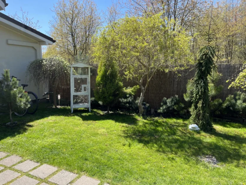 Zdjęcie Domki JAMAJKA i apartament MAKS Międzywodzie #80