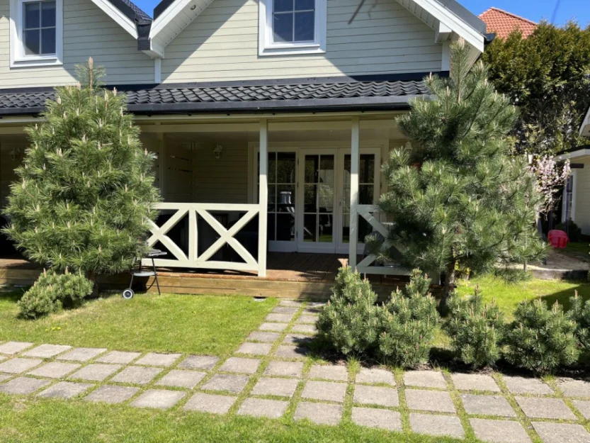 Zdjęcie Domki JAMAJKA i apartament MAKS Międzywodzie #18