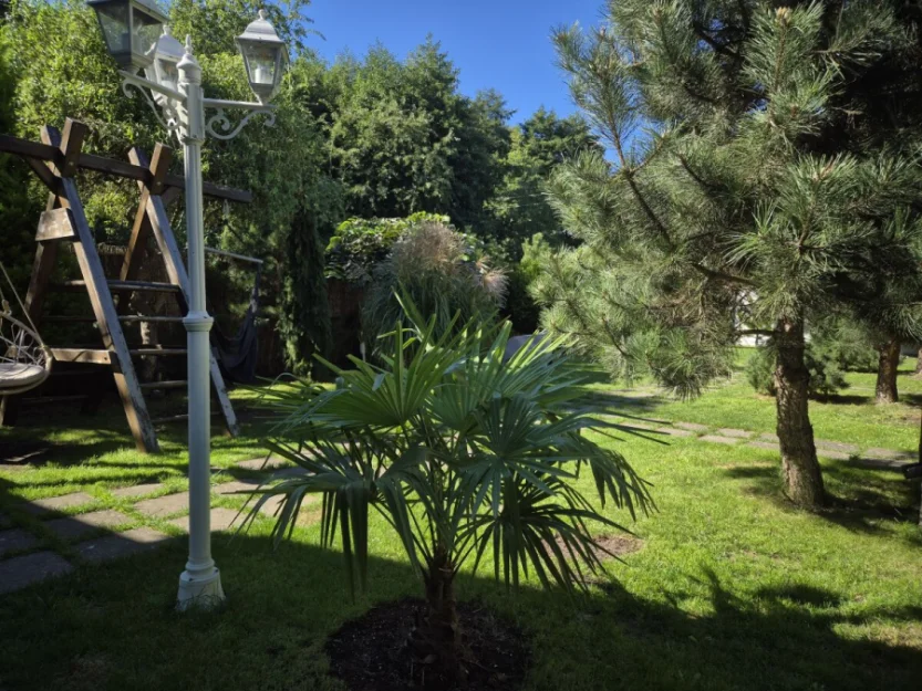 Zdjęcie Domki JAMAJKA i apartament MAKS Międzywodzie #104