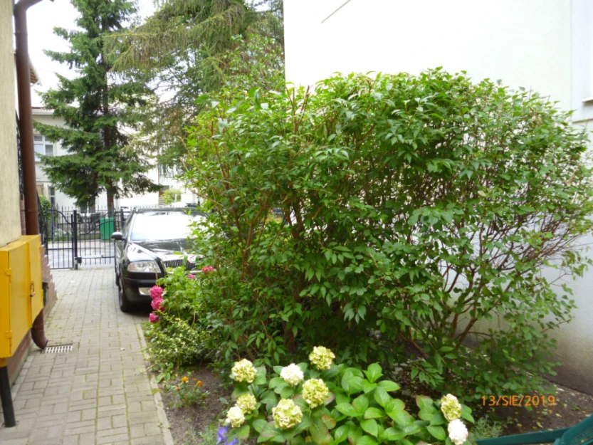 Zdjęcie Apartamenty Pod Skarpą & Modrzewiem #23