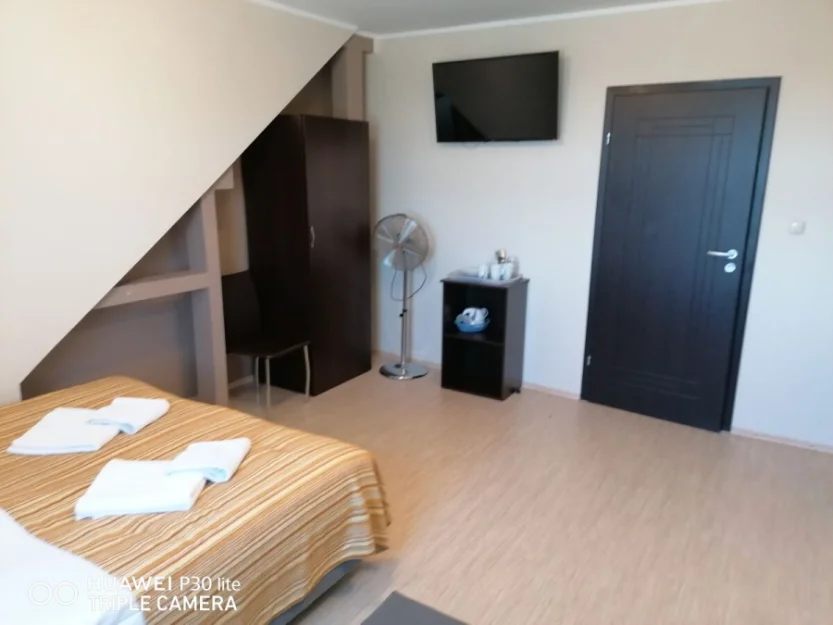 Zdjęcie EURYBIA #28