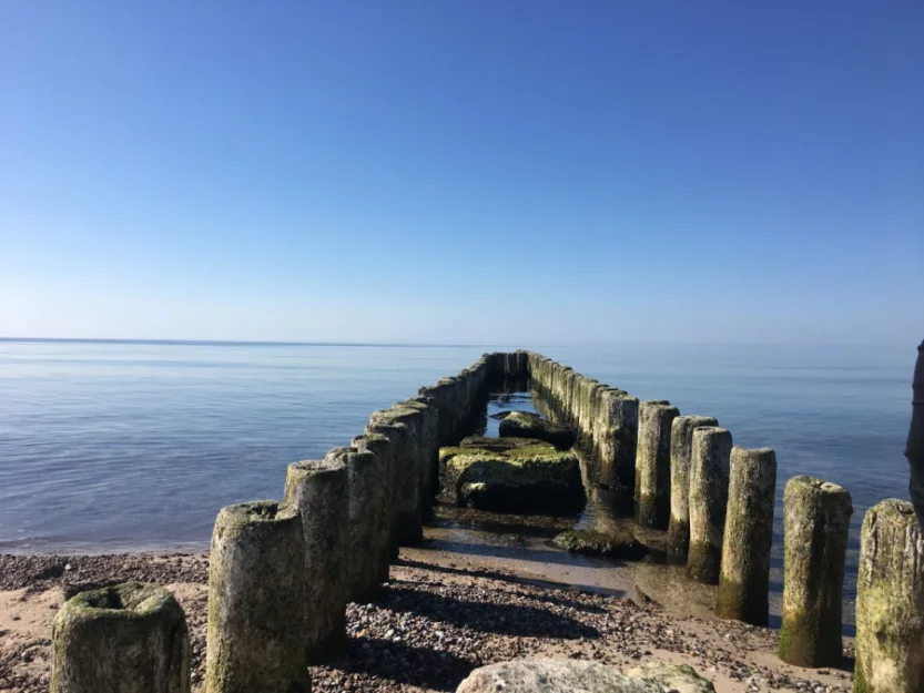 Zdjęcie Domki letniskowe Alma #12