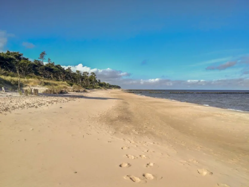 Zdjęcie Domki letniskowe Alma #13