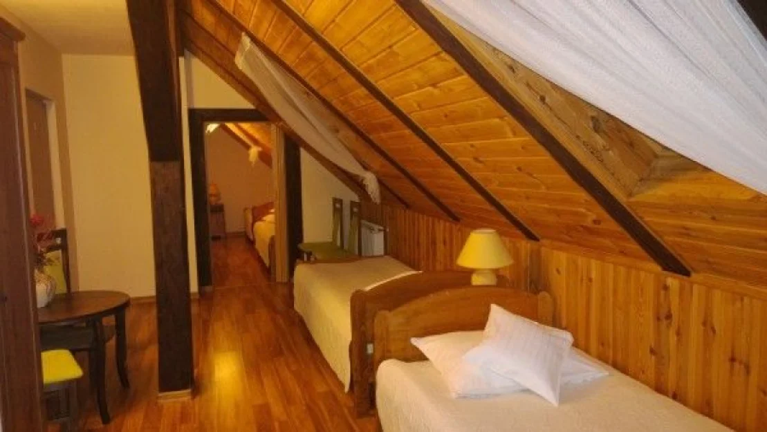 Zdjęcie LEŚNICZÓWKA w Zieleńcu  #3