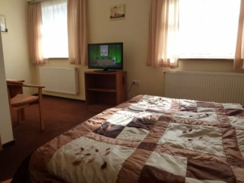 Zdjęcie Hotel SONATA #4