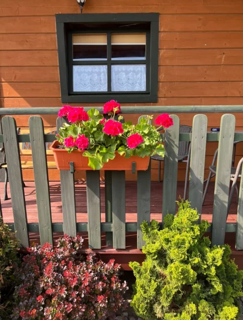 Zdjęcie Domki KRAJAN #8