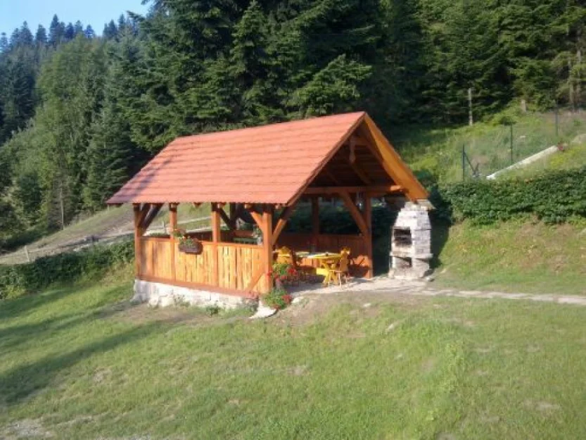 Zdjęcie Willa Polanki   #3