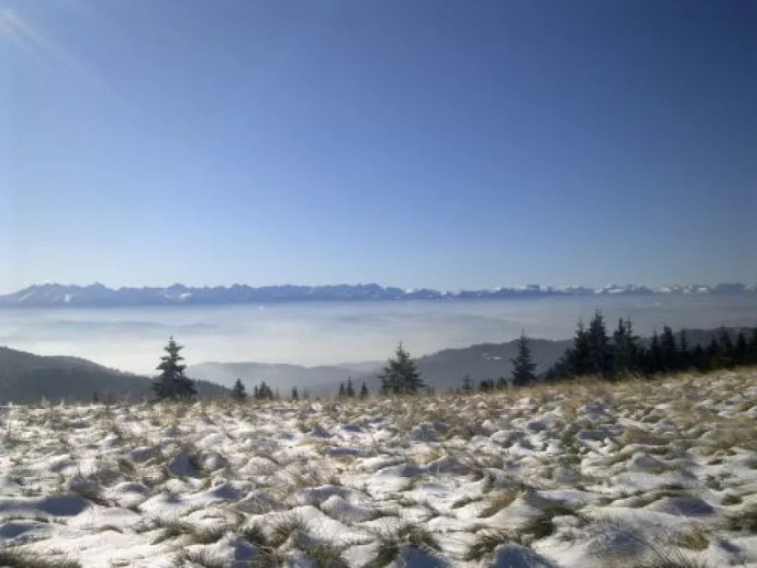 Zdjęcie Willa Polanki   #4