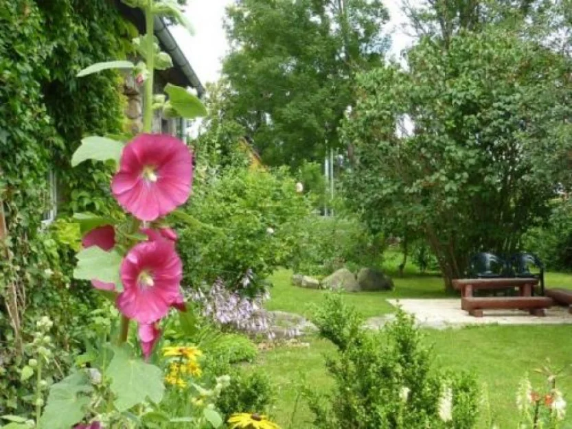 Zdjęcie Agroturystyka Dzień dobry #3