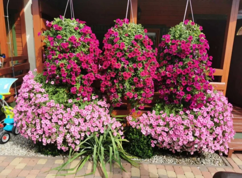 Zdjęcie Domki Letniskowe BAJKA #42