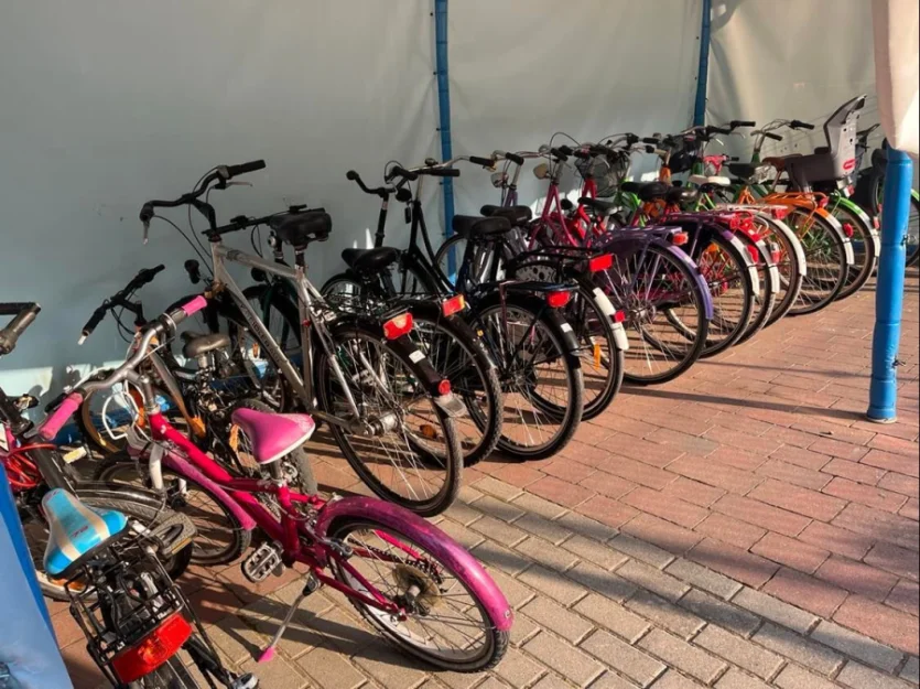 Zdjęcie Domki Letniskowe Kordelas #17