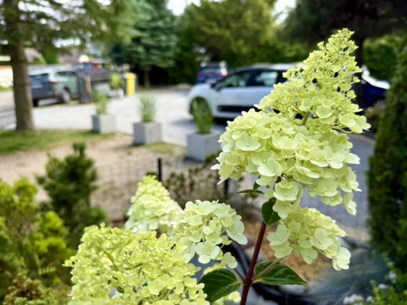 Zdjęcie Dom Wypoczynkowy KORMORAN #8