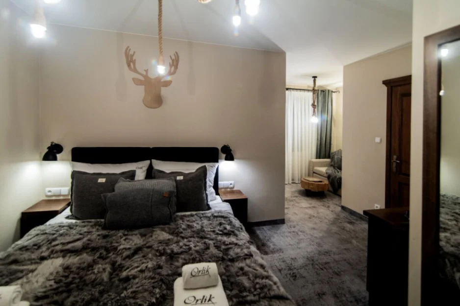 Zdjęcie Pensjonat Orlik **** #132