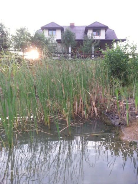 Zdjęcie Agroturystyka-pokoje gościnne #4