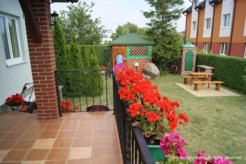 Zdjęcie Złota Rybka #4