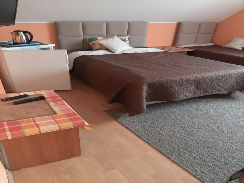 Zdjęcie Złota Rybka #20