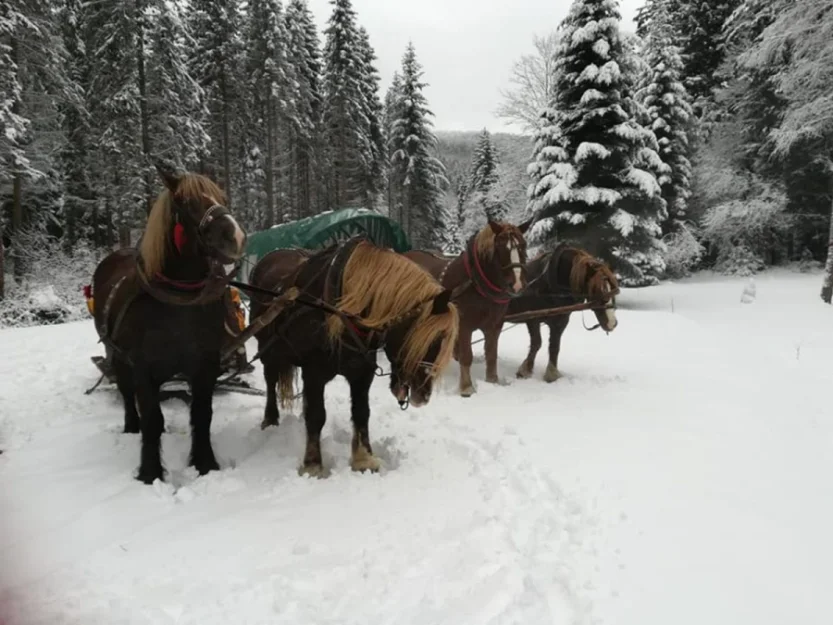 Zdjęcie Ośrodek "Matiaszówka". Domki w Bieszczadach. #71