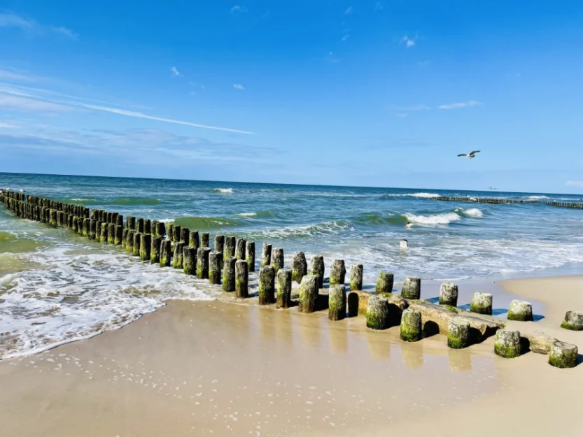 Zdjęcie DOMKI GROSZEK 250m od morza #39