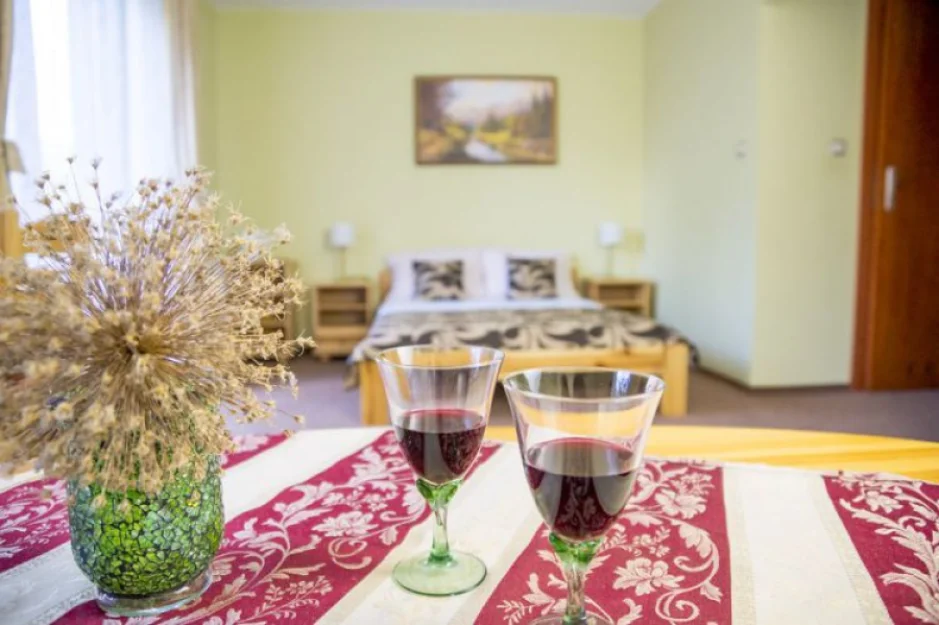 Zdjęcie Willa NEFRYT #11