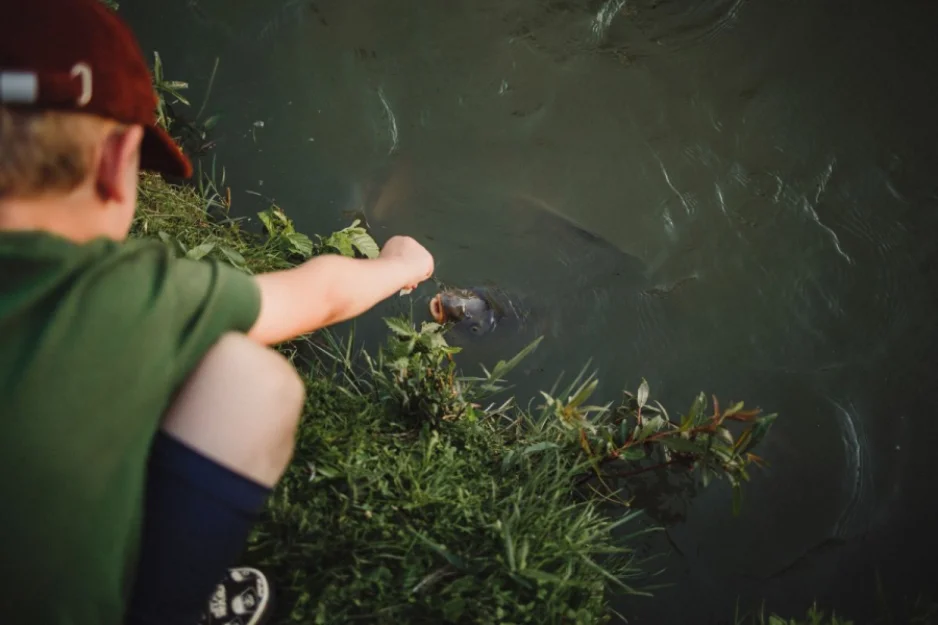 Zdjęcie Cichy Zakątek  #44