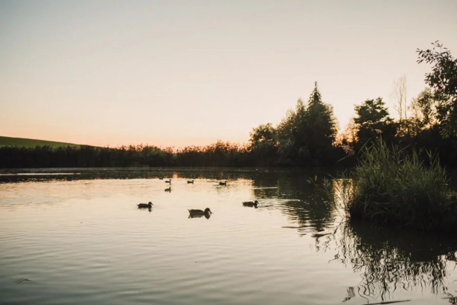 Zdjęcie Cichy Zakątek  #45