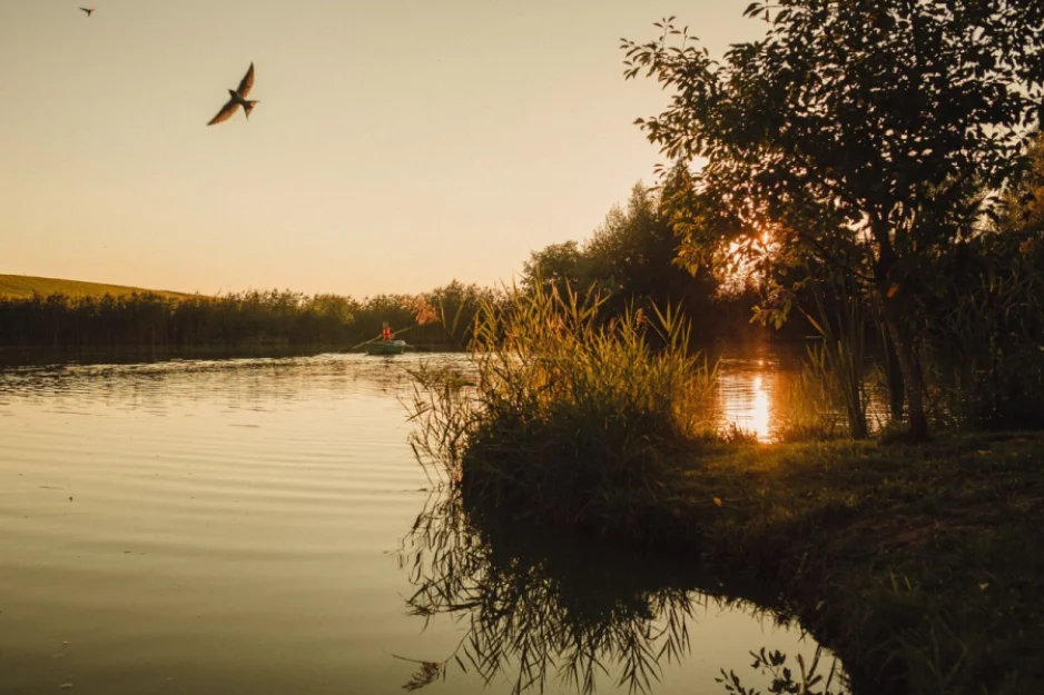 Zdjęcie Cichy Zakątek  #39