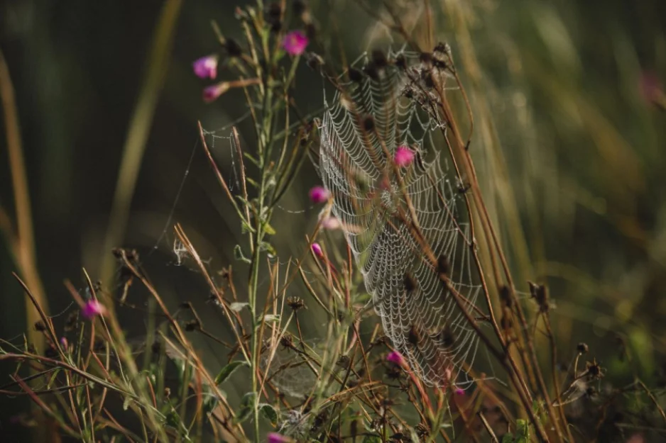 pokój 4 osobowy z łazienką