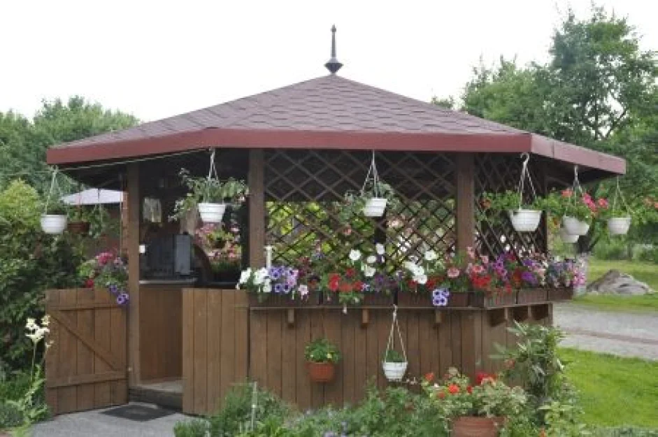 Zdjęcie Pokoje gościnne ELLA #5