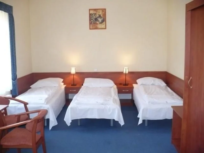 Zdjęcie Willa Akme #3