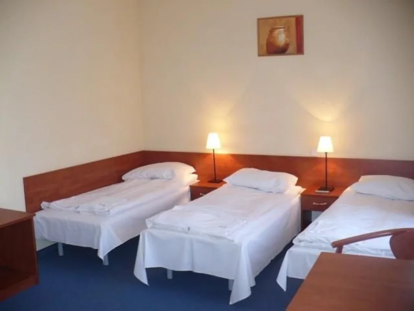 Zdjęcie Willa Akme #4