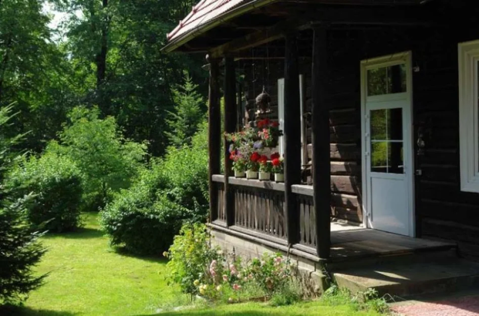 Zdjęcie Szwarcówka #4