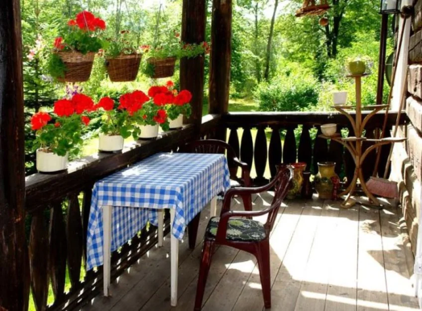 Zdjęcie Szwarcówka #5