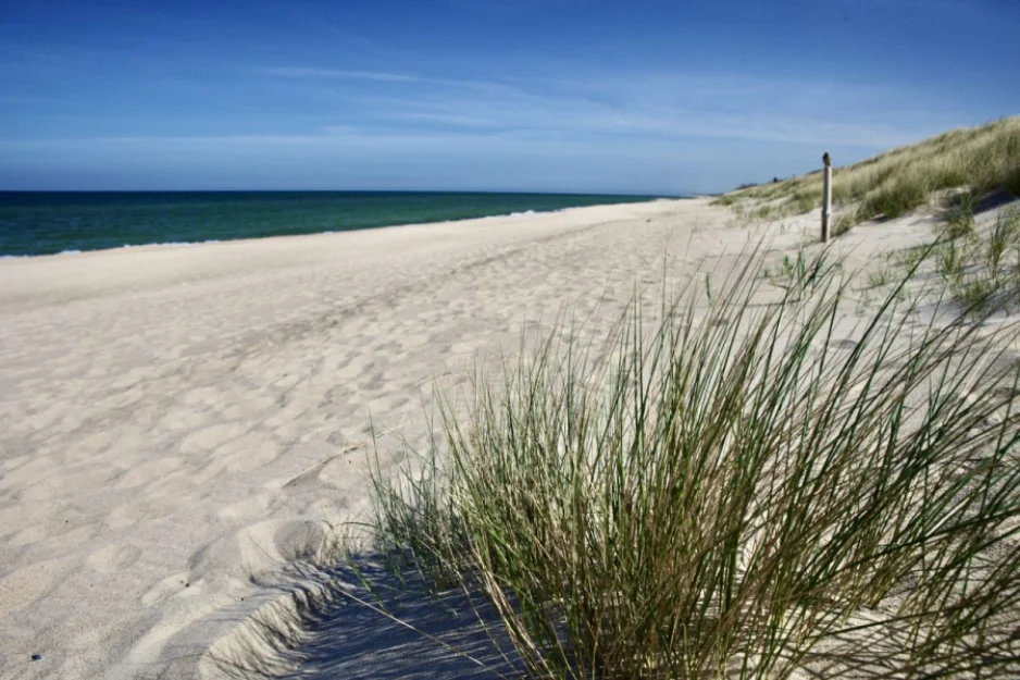 Zdjęcie Przytulne Domki Familijne nad morzem #43