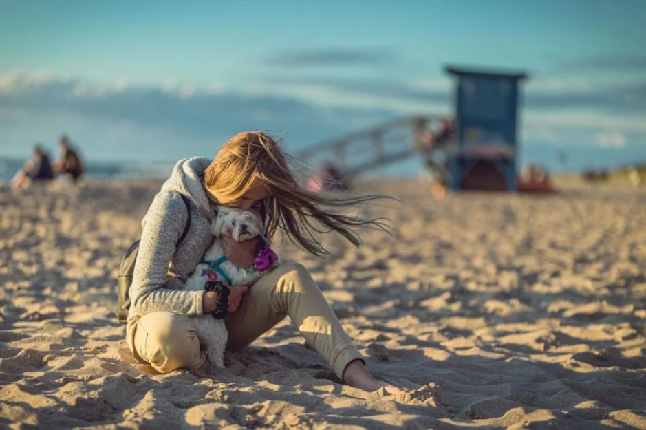 Zdjęcie Przytulne Domki Familijne nad morzem #38