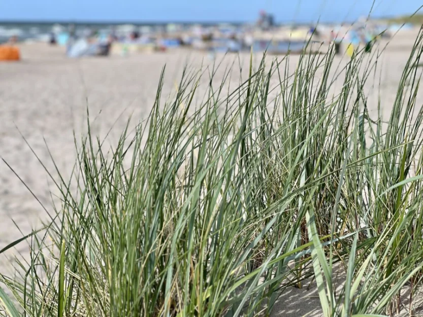 Zdjęcie Przytulne Domki Familijne nad morzem #50