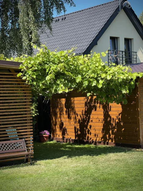 Zdjęcie Przytulne Domki Familijne nad morzem #84