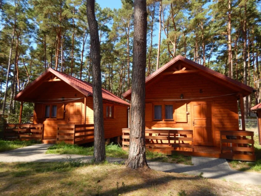 Zdjęcie Domki Batumi - leśny raj przy plaży #14