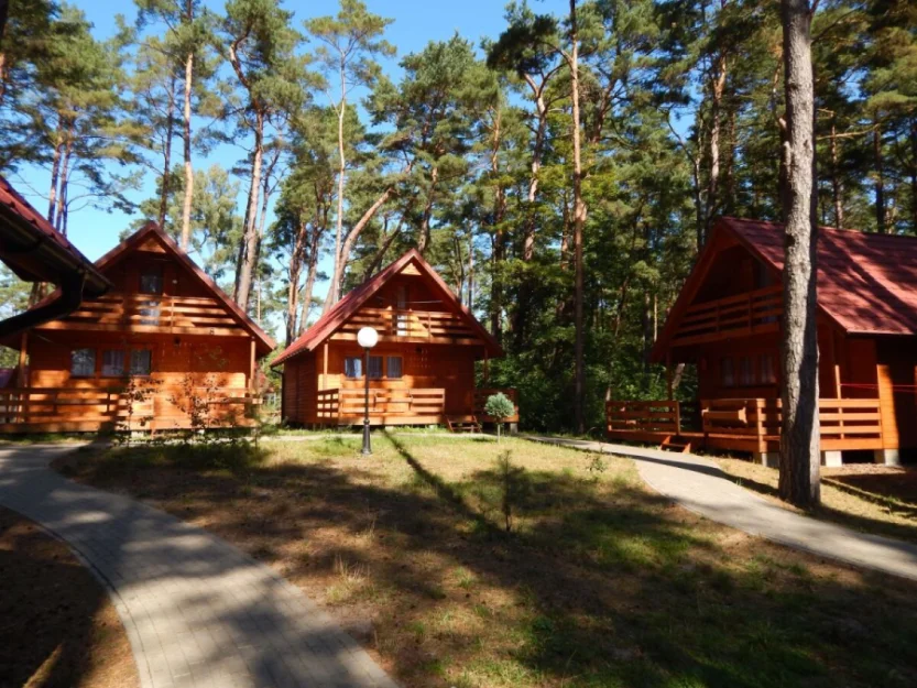 Zdjęcie Domki Batumi - leśny raj przy plaży #20