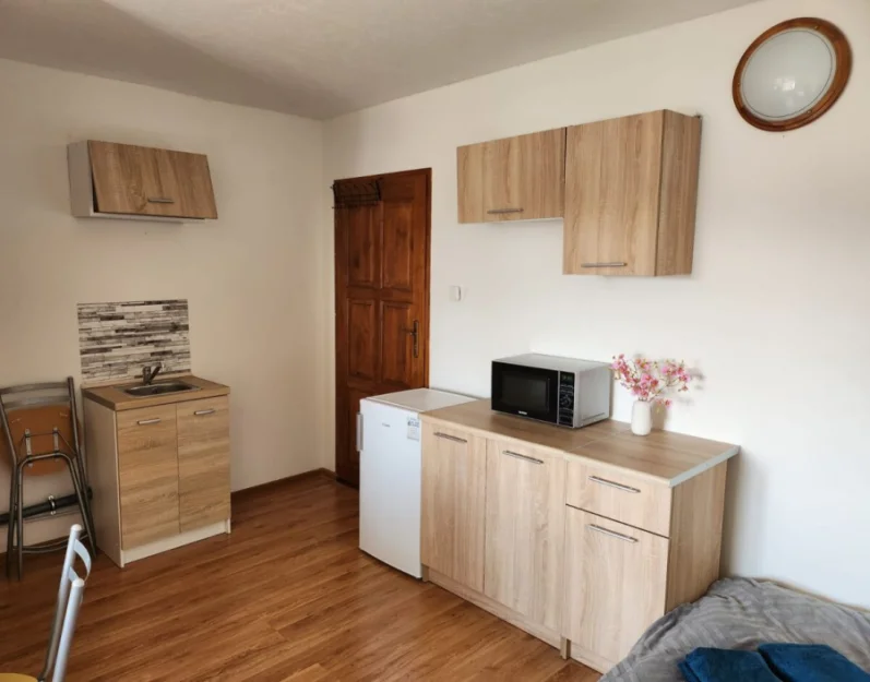 Zdjęcie Pokoje i apartamenty AGATA #28