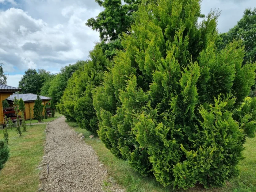 Zdjęcie Domki Letniskowe Kalem #41