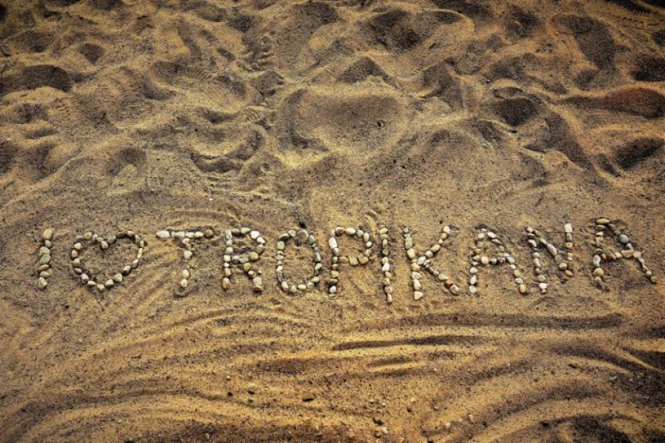 Zdjęcie TROPIKANA Domki Wczasowe #65