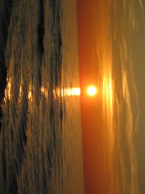 Zdjęcie Agroturystyka Czarny Młyn #7