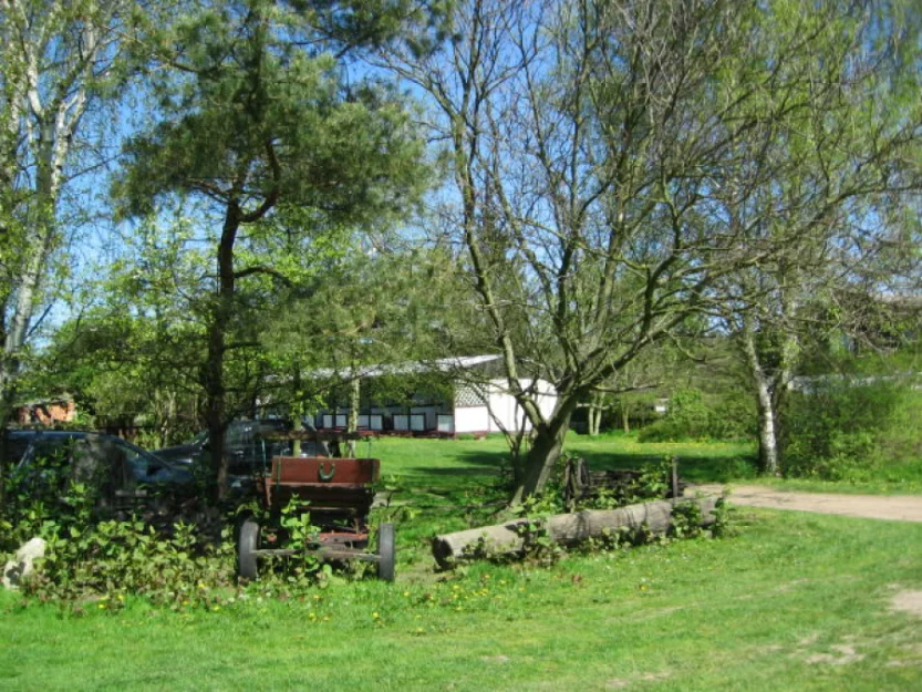 Zdjęcie Agroturystyka Czarny Młyn #8