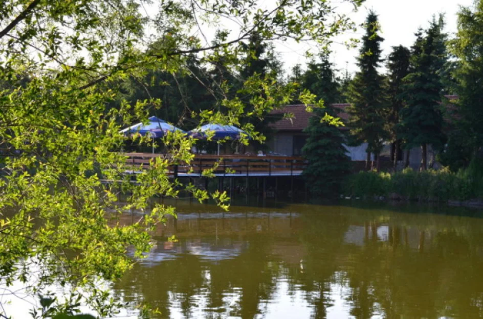 Zdjęcie Zajazd i restauracja nad Stawem #5