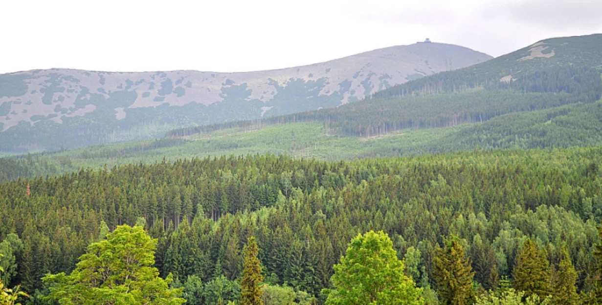 Zdjęcie OW Halny Karpacz wypoczynek doskonały #6